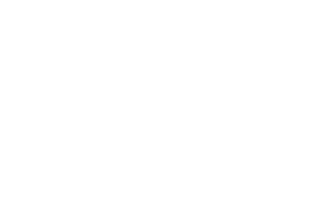 Brand 20